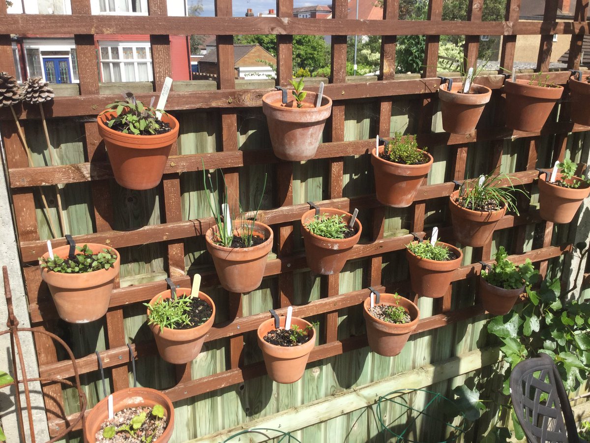 carole_blundred's tweet photo. My tip is to hang pots up so that solitary bees are can nest inside the hole at the bottom #BreakfastBeeWatch https://t.co/YzlCuMdhts