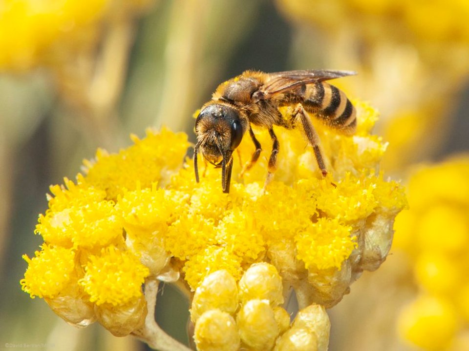 EU Environment tweet media