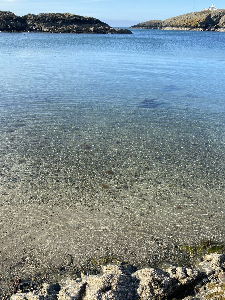 Amlwch Diving Services tweet media