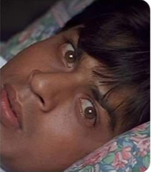 aakash_pdf's tweet photo. Me exactly at 5:35 AM when I hear the 16th chirp from my window https://t.co/lUbKConrh3