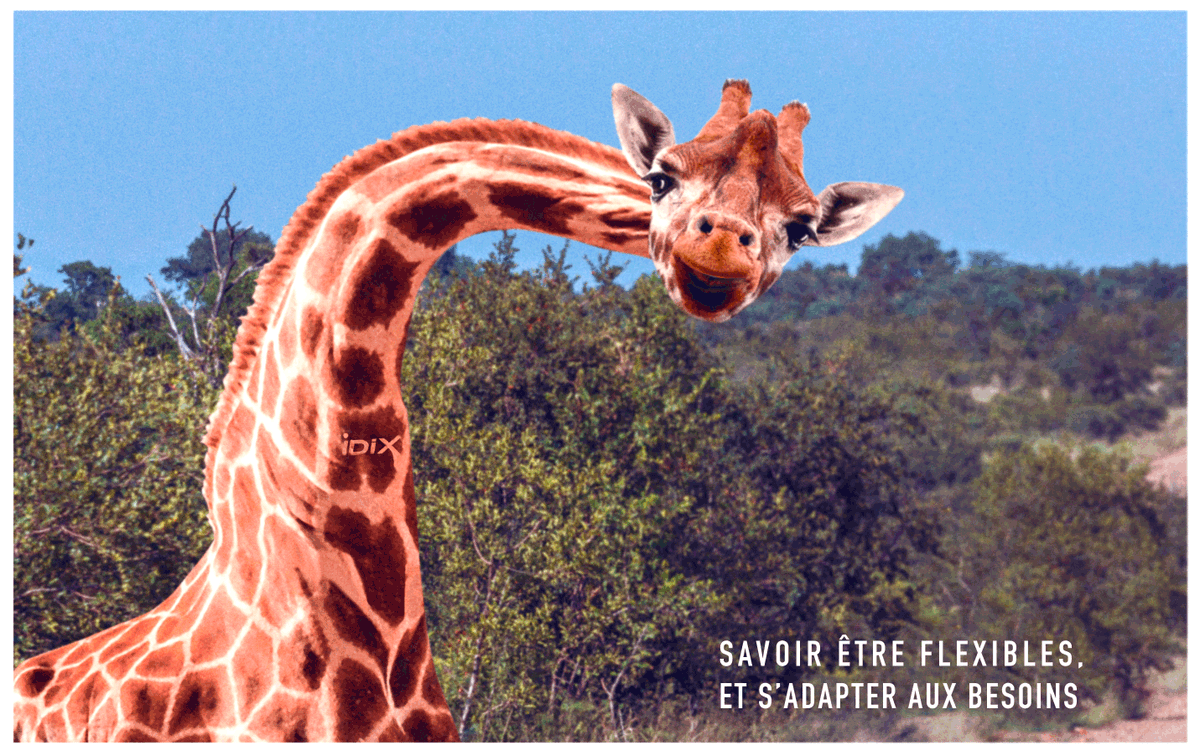 IDIX_Agence's tweet photo. Savoir être flexibles,
Et s'adapter aux besoins
#Souplesse https://t.co/6j0iqWXWQo