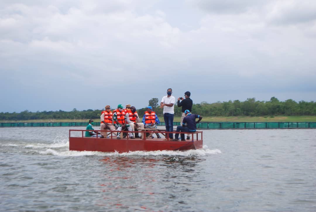 OGUN STATE GOVERNMENT SUPPORTS TILAPIA FISH FARM