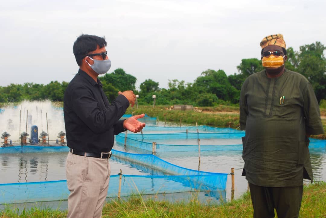 OGUN STATE GOVERNMENT SUPPORTS TILAPIA FISH FARM