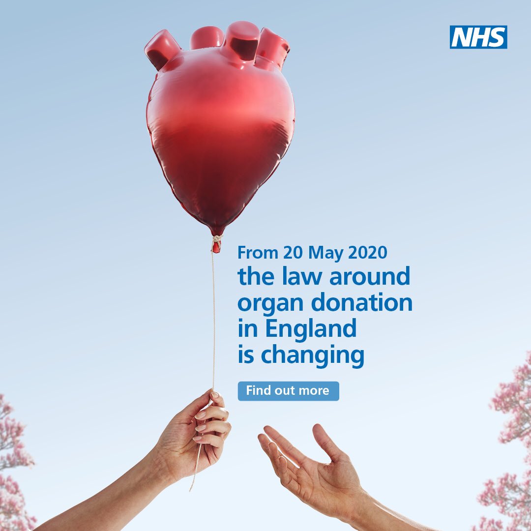 Alexandra Arnott tweet media