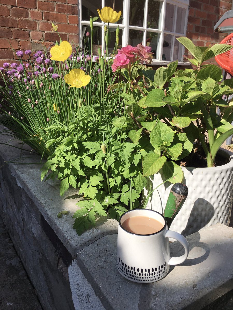 JenRowanLancast's tweet photo. Enjoying a morning cuppa ahead of well-being CPD day #ctecpd https://t.co/x9j4K3c0w6