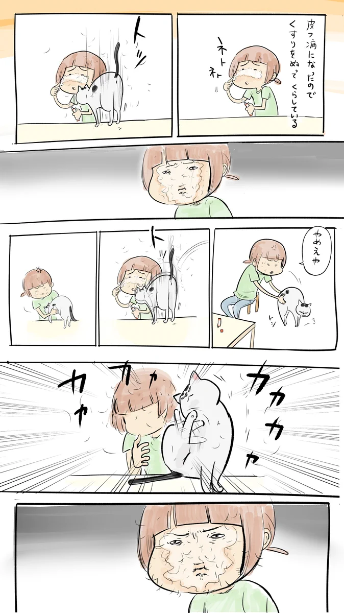 猫ってこういうことするよね…ｗｗ今日もイタズラをされていますｗｗｗ
