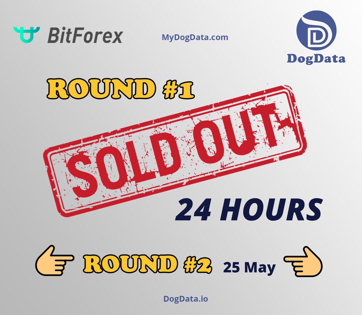 nft_shibnft's tweet image. DogData Bitforex Round #1
               $0.008
👉🌟 🌟 SOLD OUT 🌟 🌟👈
          👇 Round 2 👇
  👉   25th May $0.010   👈

⛓🐾⛓🐾 ⛓ 🚀 ⛓🐾 ⛓ 🐾 ⛓ #news #ETHBN #tokenoffering #bitforex #usdt #dogdata #mydogdata #dogblockchain