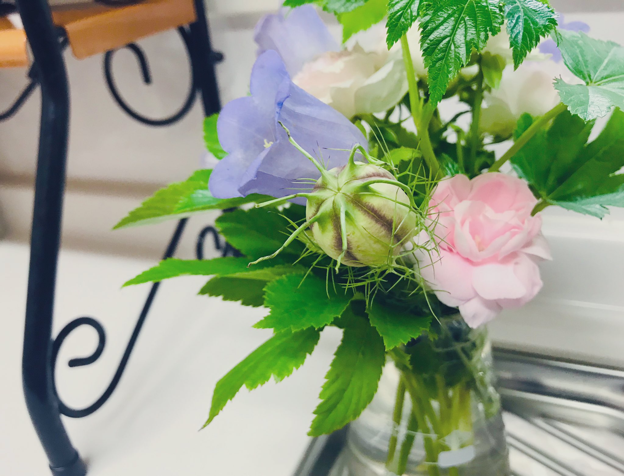 トモミ ただいま 帰宅して キッチンにお花を飾りました そういえば 我が家には花瓶は一つしかないかも もっぱら 今日のような三角フラスコ ビーカー お酒の空き瓶を花瓶代わりに使っています ああ かわいいね ー T Co