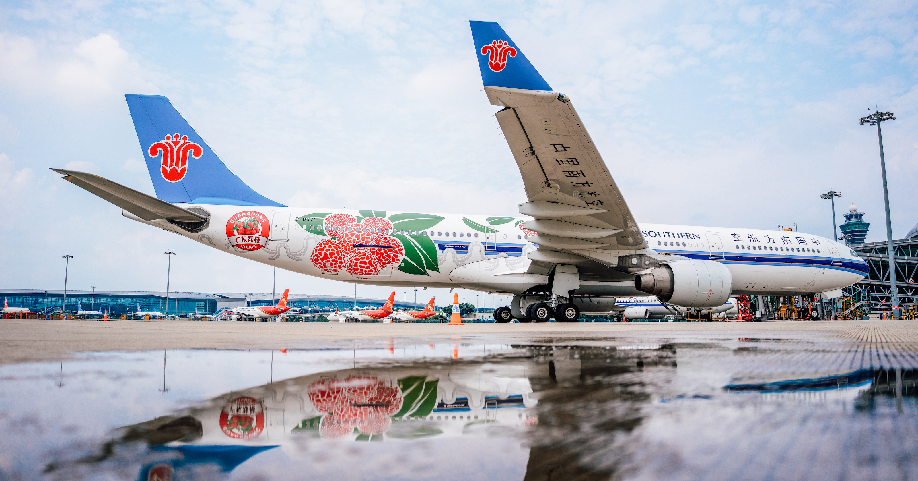 Southern авиакомпания. самолет china southern. авиакомпания чайна саузерн. Southern авиакомпания. Southern авиакомпания.