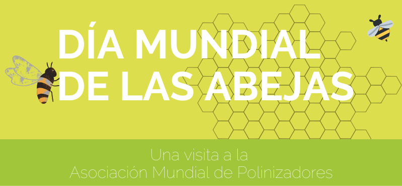 FGlobalNature's tweet photo. 🐝 En el mundo más de 200 mil animales diferentes actúan como #polinizadores. Por eso en el #DíaMundialdelasAbejas queremos destacar su labor y presentarte algunos de ellos.

¡Visitemos juntos la Asociación Mundial de Polinizadores! 🧵#EUPollinators #OBA
https://t.co/eyBeDfNcJo https://t.co/tSQbMXHcAT