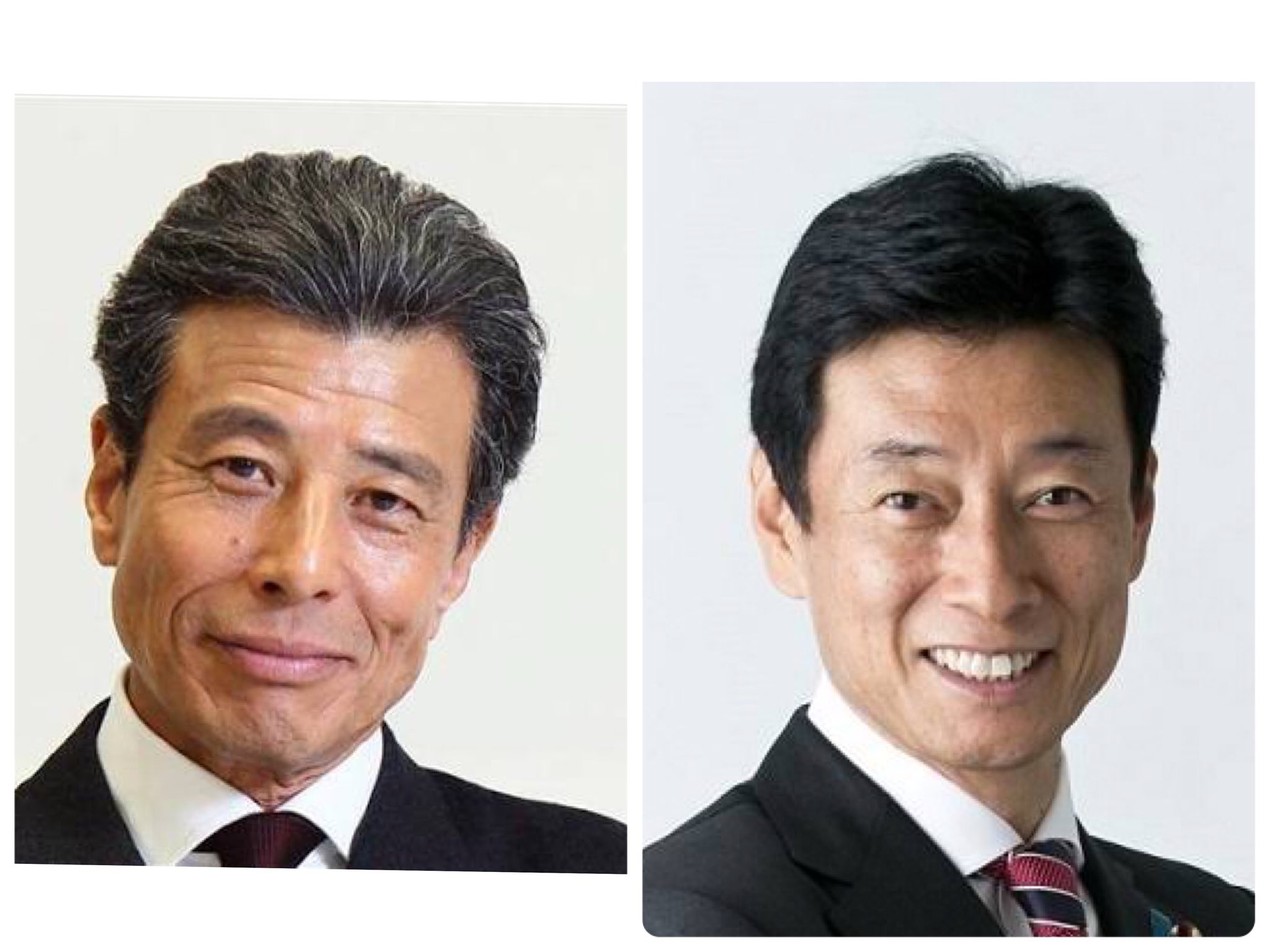 アネモネ Sur Twitter 西村経済再生担当大臣 舘ひろしに似ておりダンディ フェイスライン パーツ配置や鼻の形 髪型などがよく似ている 西村大臣は斜視