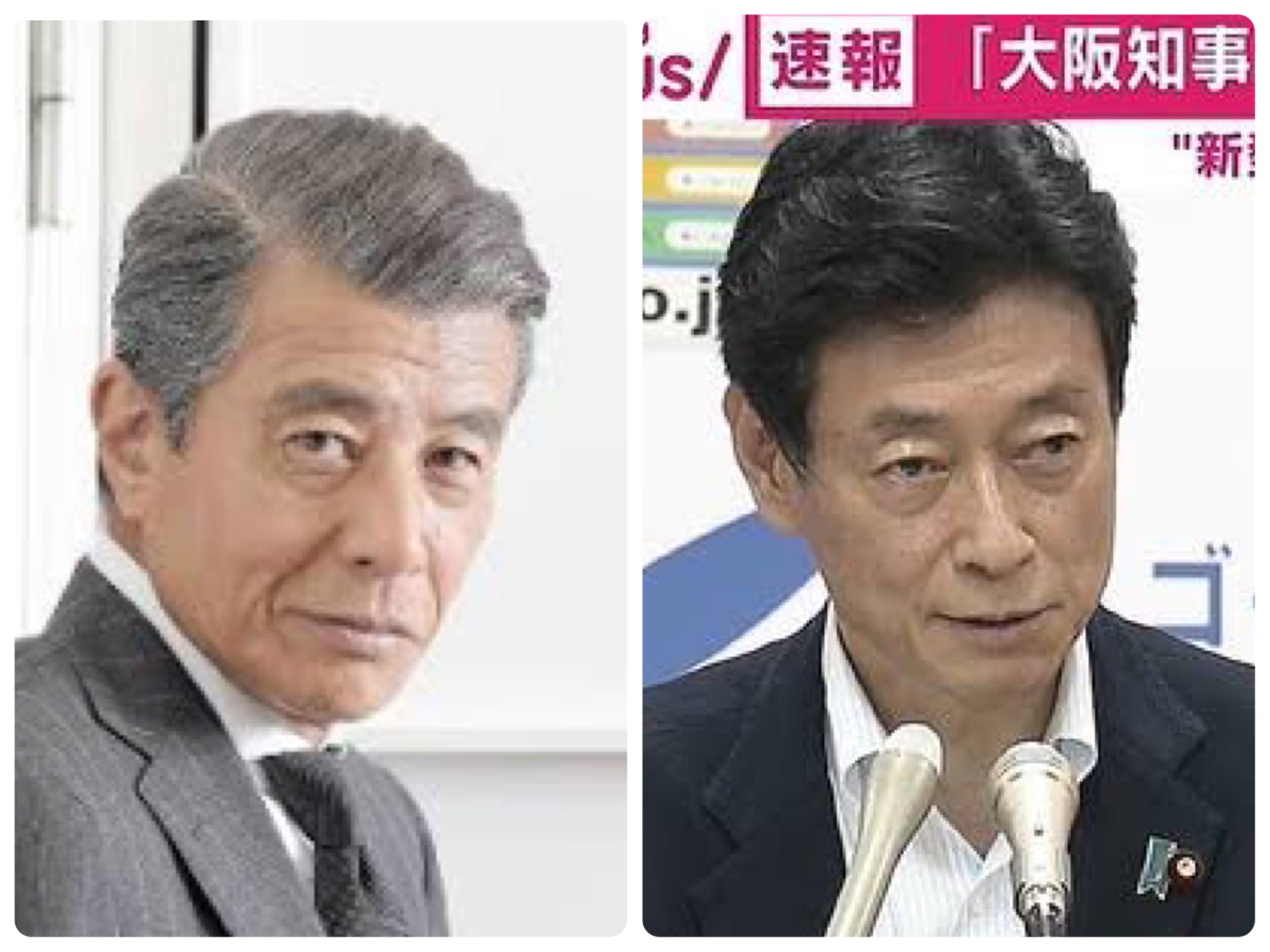 アネモネ Sur Twitter 西村経済再生担当大臣 舘ひろしに似ておりダンディ フェイスライン パーツ配置や鼻の形 髪型などがよく似ている 西村大臣は斜視