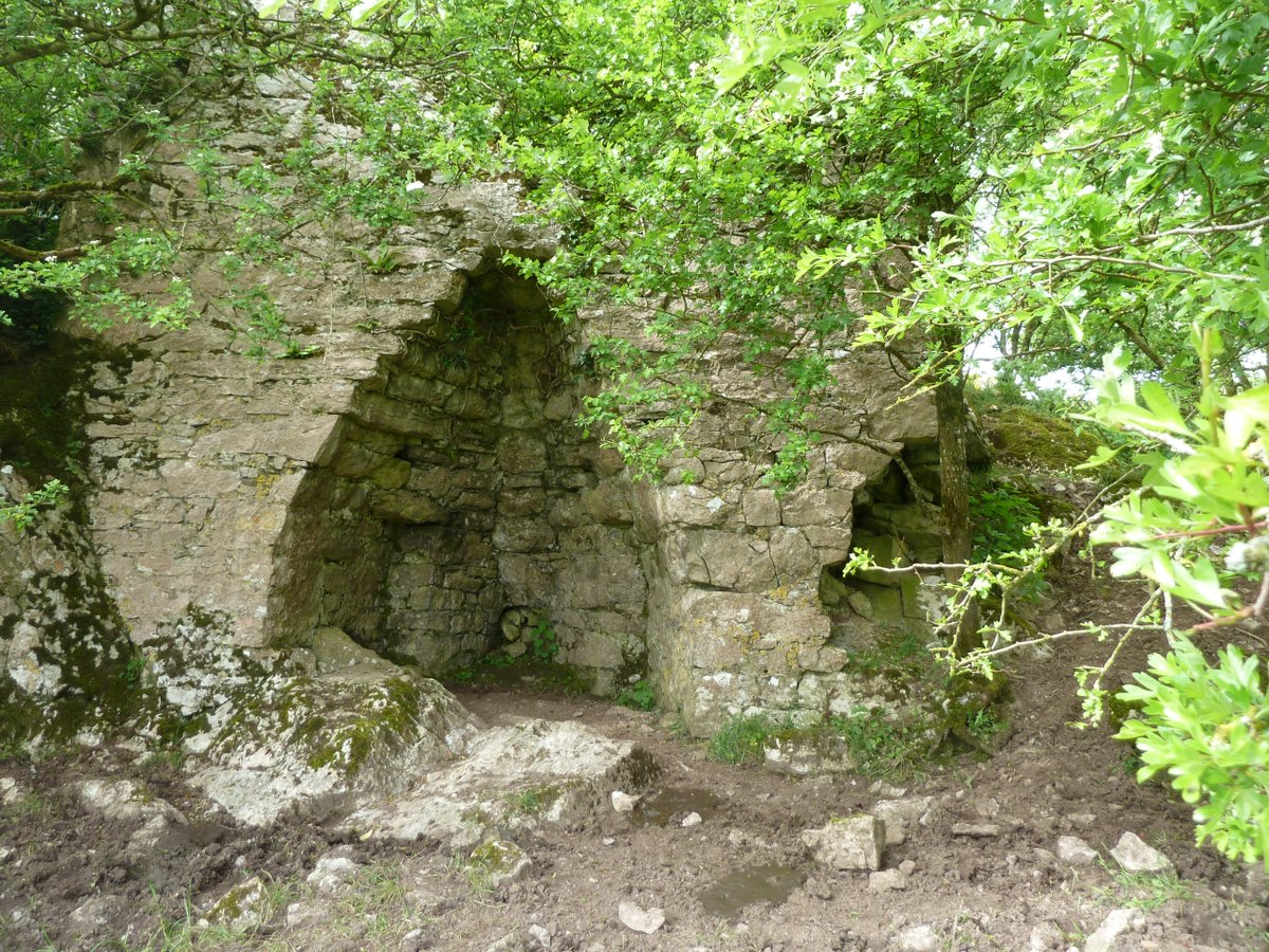 Medieval Buttevant tweet media