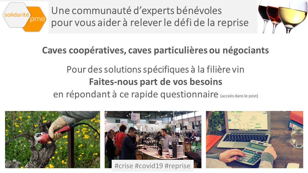 Solidarite-PME.org mobilise des experts bénévoles pr aider les PME à relever les défis de la #reprise. Née en Occitanie, l'initiative Solidarité PME réfléchit à des solutions pr la filière #vin.  Acteurs du vin, exprimez vos besoins en compétences ▶️ bit.ly/36fNSm4.