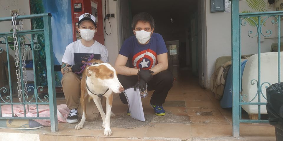 protectorasvpap's tweet photo. Paquita, la sufrida mami de los nueve cachorros, también se va a poder recuperar en un hogar donde la cuiden como se merece, porque ha sido una campeona. #nocompresadopta #adoptasvpap https://t.co/u7JbygmZpa