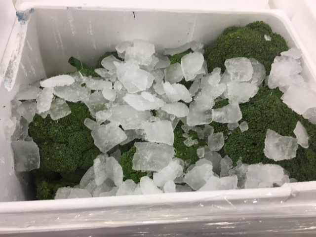 worldfresh1's tweet photo. Available for Friday night delivery UK Broccoli. Call us 01945 774481 https://t.co/2NTNez2TcD