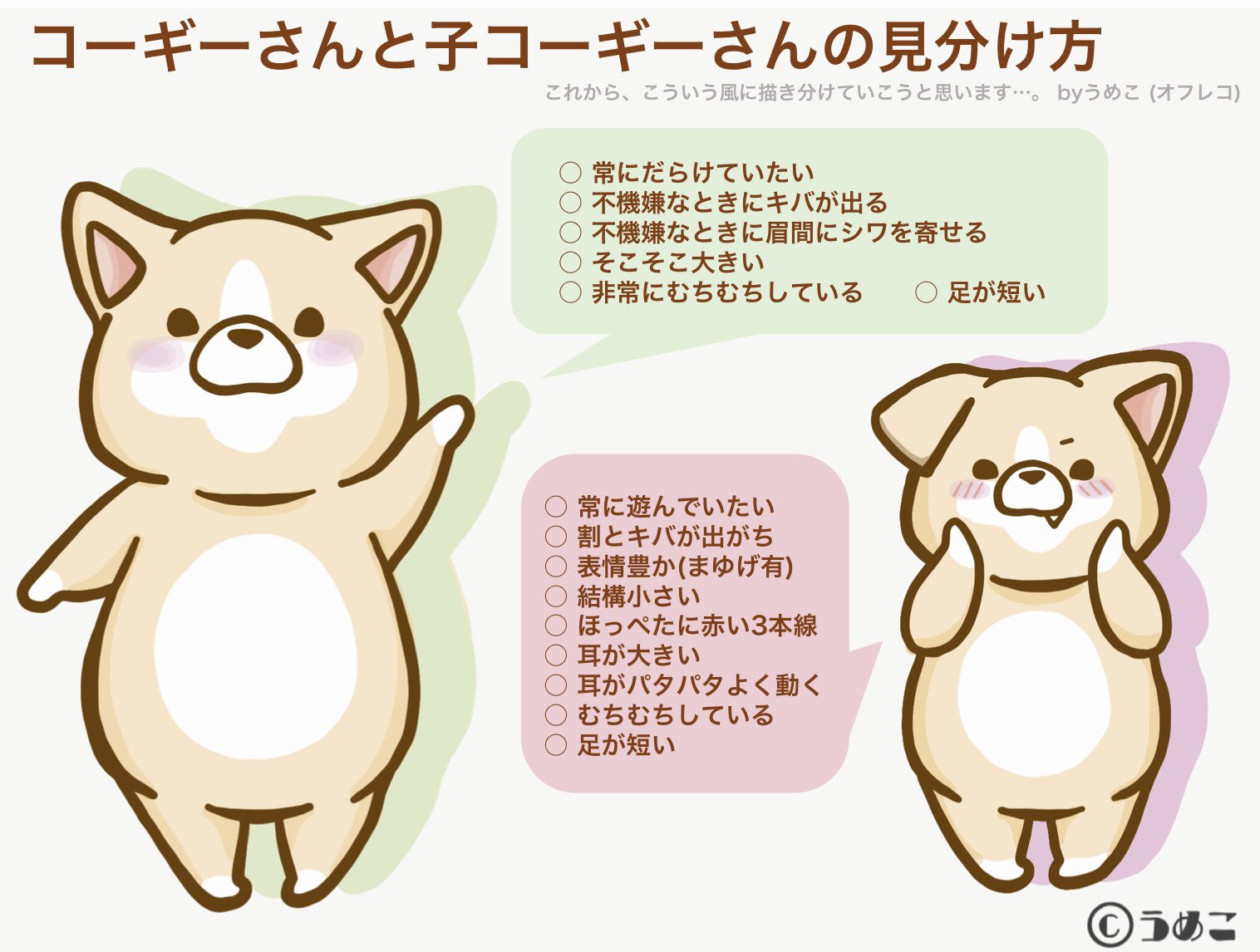 うめこ いやされコーギーさん 最近しれっと子コーギーさんを登場させていたので 改めてちゃんと紹介しますね コーギー イラスト イラスト好きと繋がりたい 子コーギーさんもよろしくお願いします T Co Rnf6sx3r6f Twitter うめこ いやされコーギーさん 最近しれっと子コーギーさんを登場させていたので 改めてちゃんと紹介しますね コーギー イラスト イラスト好きと繋がりたい 子コーギーさんもよろしくお願いします T Co Rnf6sx3r6f Twitter