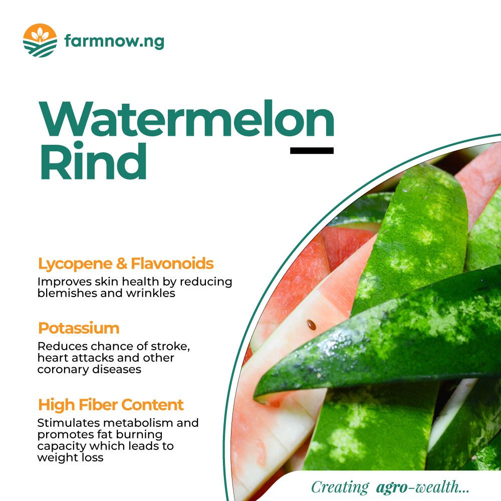 FarmnowNG's tweet photo. And for most of us, when we are done with watermelon's sweet pink flesh, we toss away the rind. The rind, which is the green skin that keeps all that water-logged delicious fruit safe, is completely edible.
#Farmnowng #Agriculture #Watermelon #Health https://t.co/A5QgOEb01F
