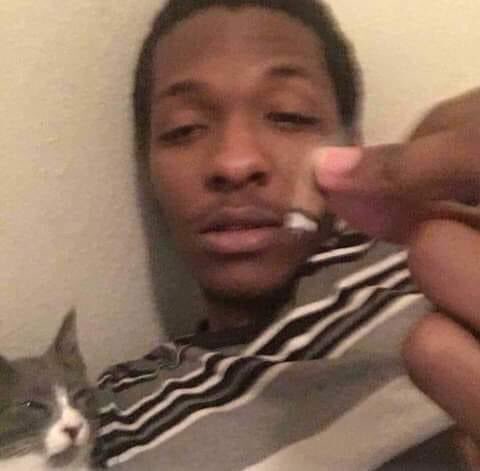 When people ask me how isolation is going...