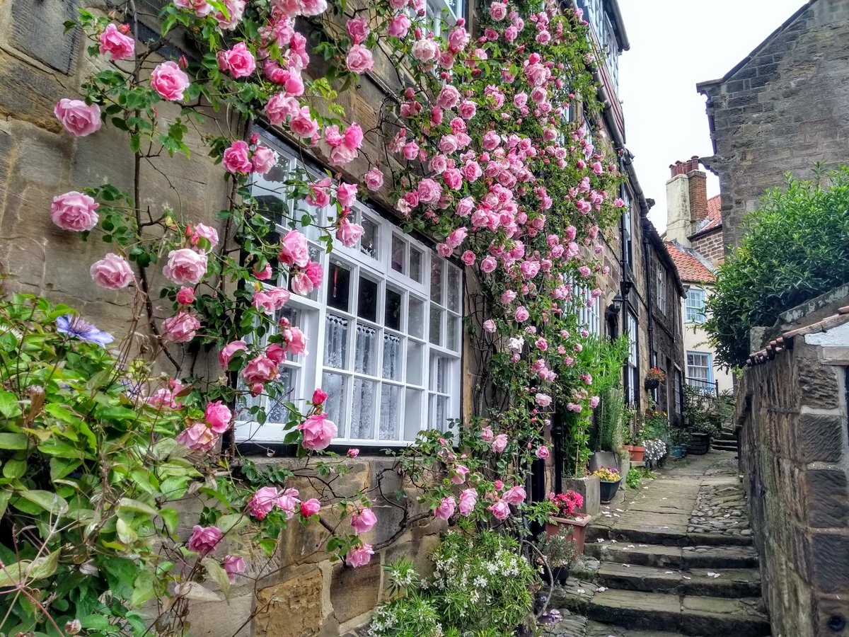 Jim Foster 🇺🇦 tweet media