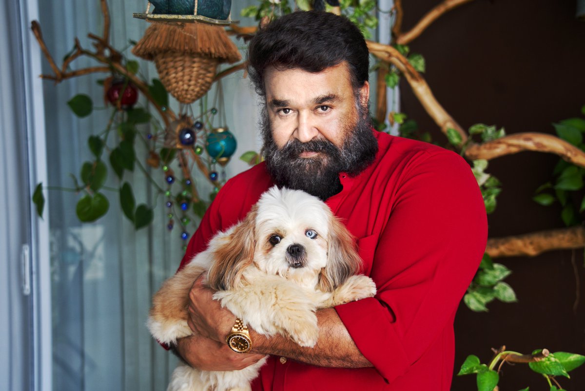 Mohanlal's tweet photo. Bailey❤️ https://t.co/6kuZD4FQMJ