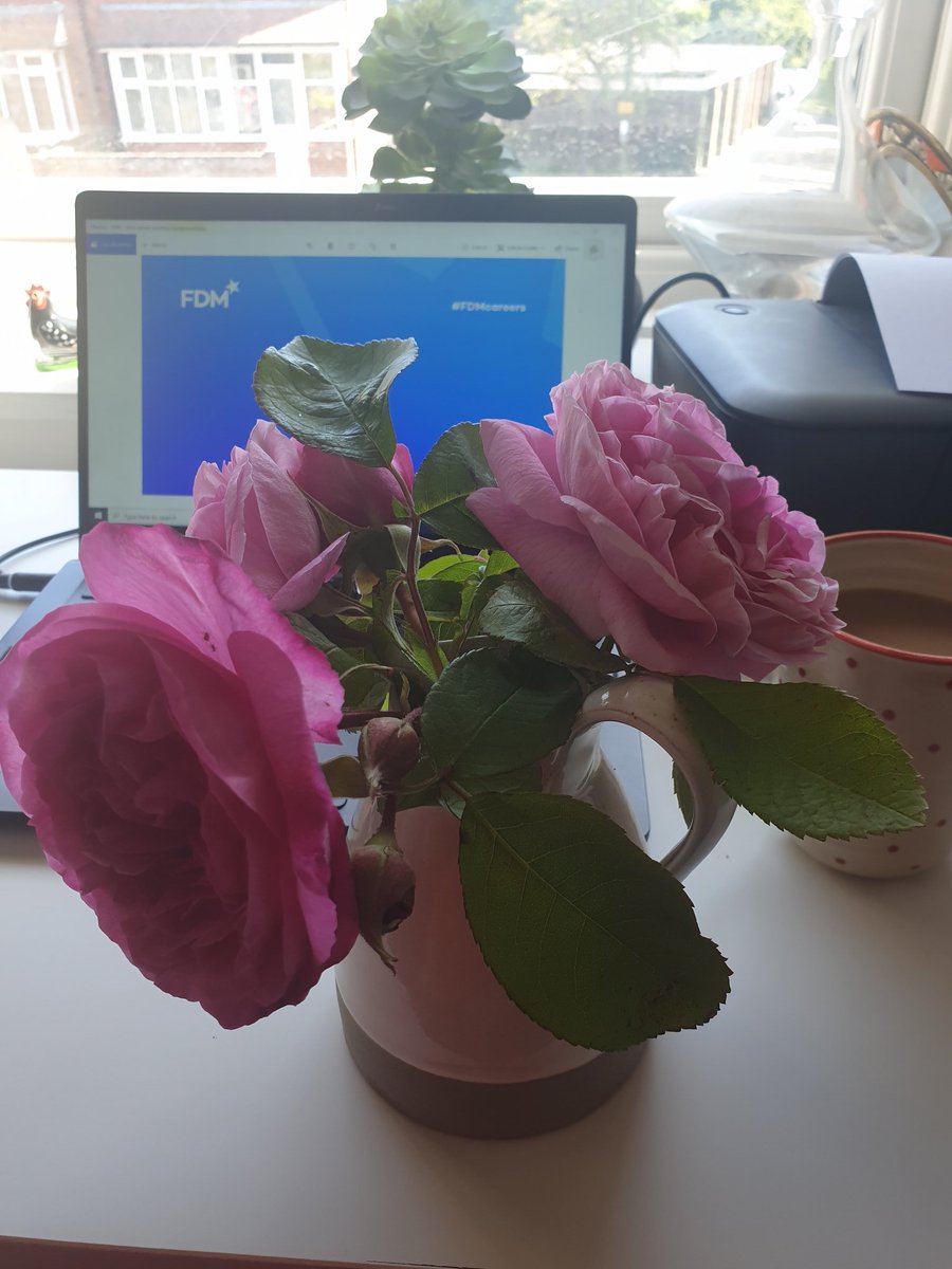 Feeling positive #fdmcareers #wellbeingwednesday