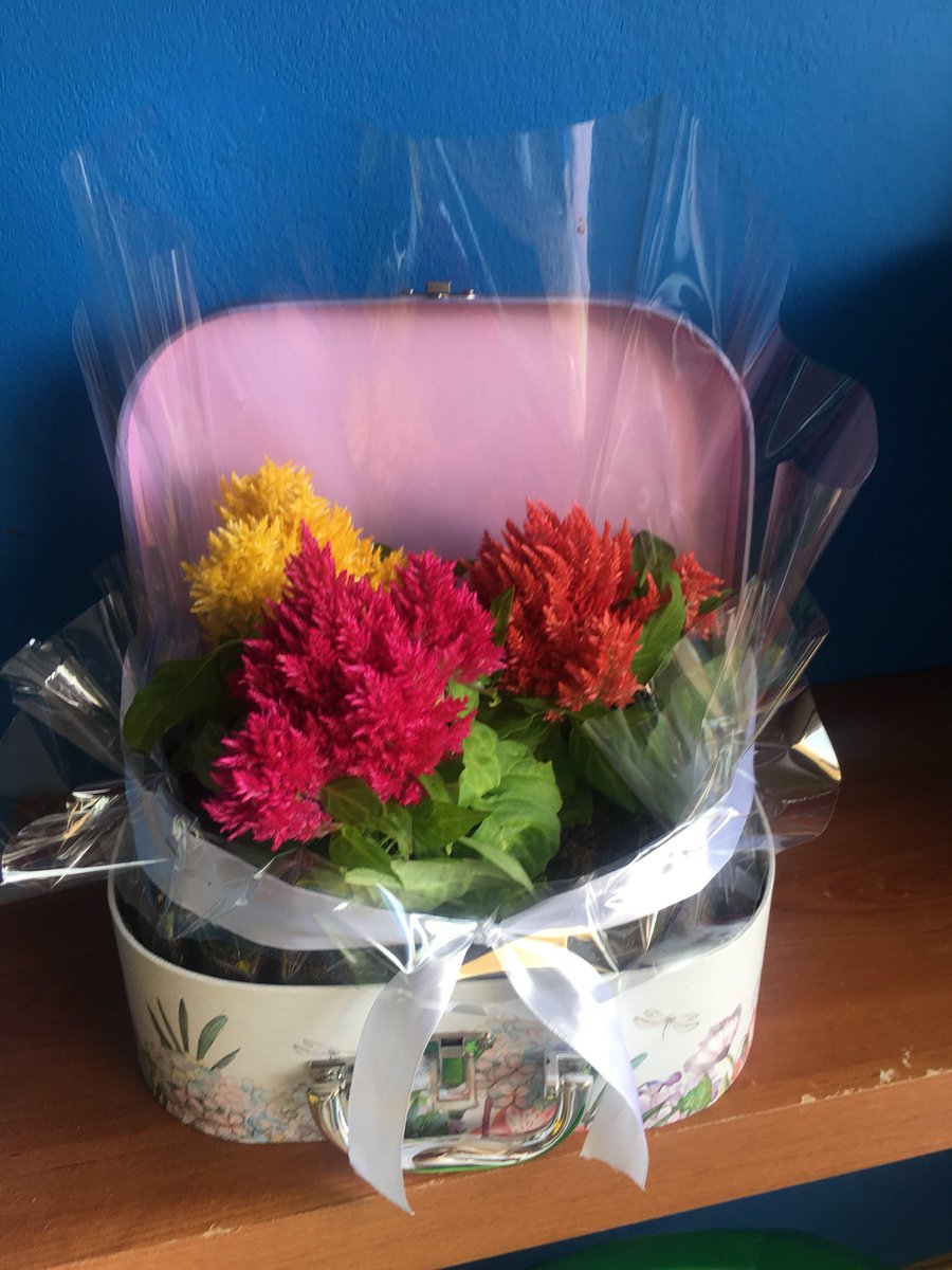 Syldavia Floristas (@syldaviaf) on Twitter photo 