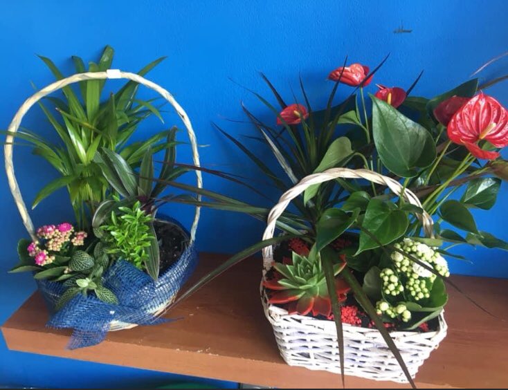 Syldavia Floristas (@syldaviaf) on Twitter photo 