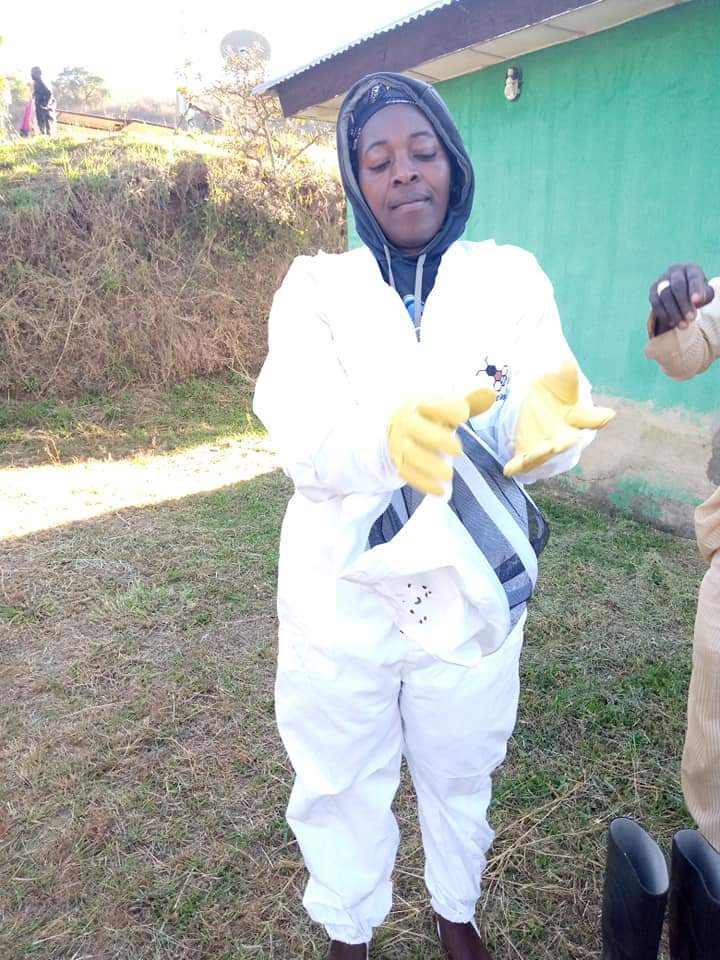 Ngel_Nyaki's tweet photo. Happy #WorldBeeDay 🐝🌼🎊
One of our major achievements this year is #BeyondBees- our honey production initiative has taken-off! This project will underpin our ongoing bee pollination research while supporting livelihoods of Ngel Nyaki communities
@sulbyrd07 @CatrionaLaing1 @UCNZ https://t.co/DrguLjYvet