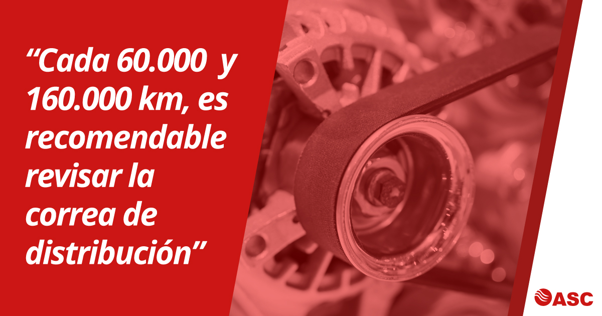 Buenas tardes, aquí está nuestro consejo del día❗️ Cada 60.000 y 160.000 km, es recomendable revisar la correa de distribución. 🚙

➵ ASC, tu estación de servicio.

#combustible #promocion #gasolinera #preciogasolina #gasolinabarata #supra #noticiagranada