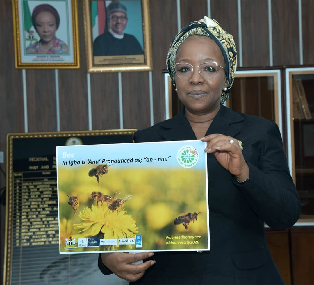 Today, May 20th marks the commemoration of the 2020 #WorldBeeDay; a gentle reminder to us all on the importance of bees as pollinators and the fact that we all are dependent on the survival of bees 

#weneedhoneybee #Biodiversity2020