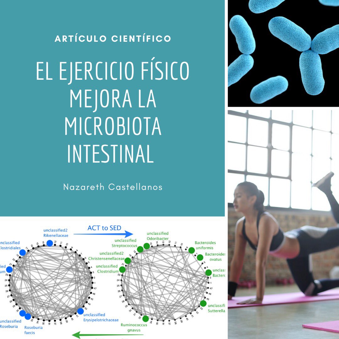 NazaCastellanos's tweet photo. La revista científica Microorganisms nos ha aceptado hoy para publicación un artículo donde identificamos las bacterias más relevantes en el beneficio del ejercicio físico sobre la microbiota intestinal. https://t.co/O2KFi6bLve