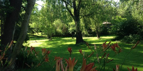 panoramanow's tweet photo. Nothing to Do This Weekend? Here's Lots Spring Garden & Landscape Tips - #Horticulture #gardener #gardentherapy #OutdoorLiving #Garden #Lawncare #Plants #nativeplants #gardentips #gardening #conservation #environment #environmentyou
#nativeplants https://t.co/g2iYB7MNGg https://t.co/k46CDGAqVg
