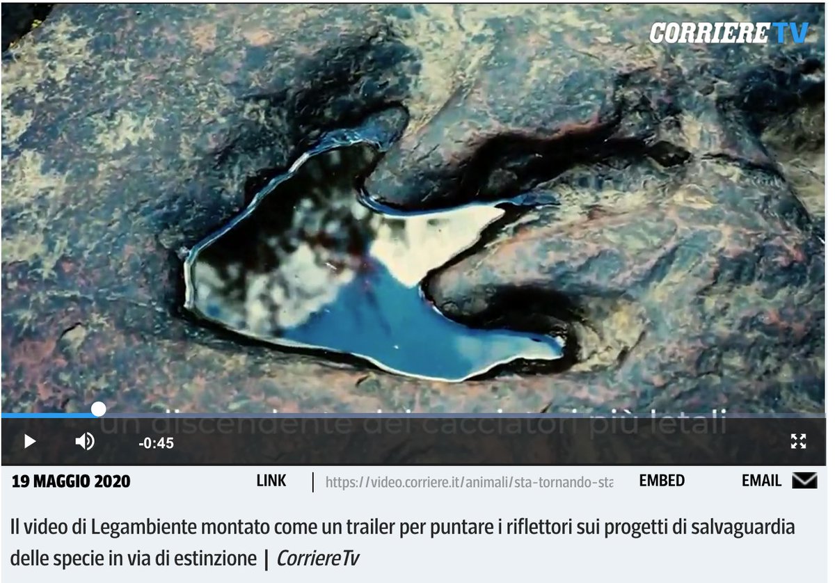Grazie agli amici del <a href="/Corriere/">Corriere della Sera</a> per il bel pezzo sul nostro video ironico per salvare la starna estinta. A tutti gli altri, occhio che il predatore sta tornando! <a href="/IacopoGori/">Iacopo Gori</a> <a href="/chedisagio/">Marco Castelnuovo</a> <a href="/CorriereTv/">Corriere Tv</a> 
bit.ly/2zTIpFA