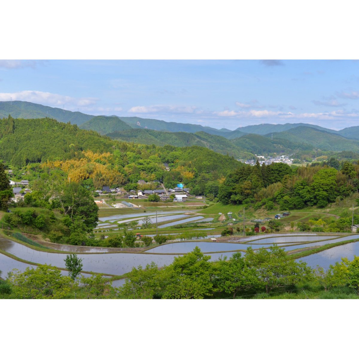 長谷の棚田 長谷の棚田