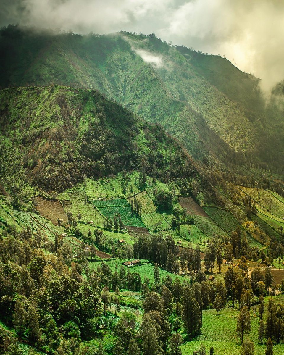 Souvenir à couper le souffle d'une randonnée au cœur des collines de Java oriental.

📷 Luke Welland (@lightworld_travel) au PENTAX K1