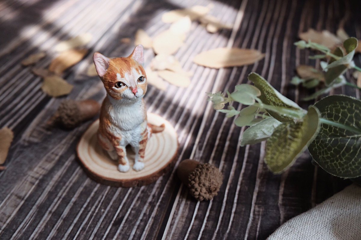 sleepingchild9's tweet photo. I love to sculpt miniatures. Do you like my tiny cats #tinycat #miniature #handmade #craft #sculpture #PolymerClay #anieclay https://t.co/bExBFaim6x