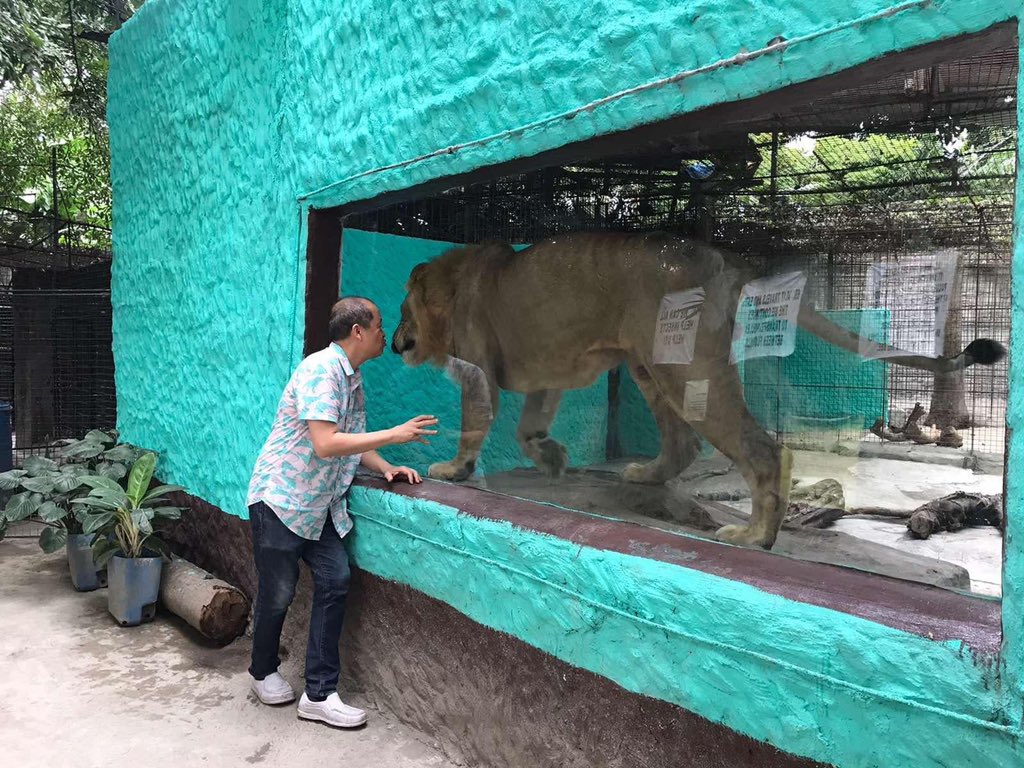 ReiGermar's tweet photo. Guys! Donate tayo sa Malabon Zoo 😢 Please RT

BPI checking account number: 4641-0003-32
Account name: Malabon Zoo Foundation

Contact number: 8361-3064

Photos from Philippine Star https://t.co/EAMtNoeX1D