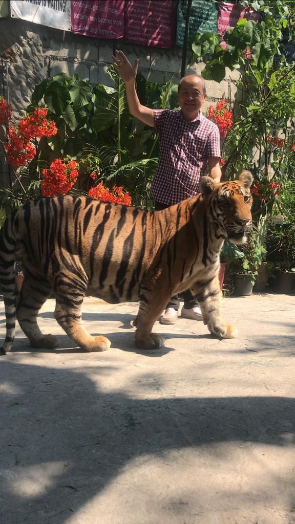 ReiGermar's tweet photo. Guys! Donate tayo sa Malabon Zoo 😢 Please RT

BPI checking account number: 4641-0003-32
Account name: Malabon Zoo Foundation

Contact number: 8361-3064

Photos from Philippine Star https://t.co/EAMtNoeX1D