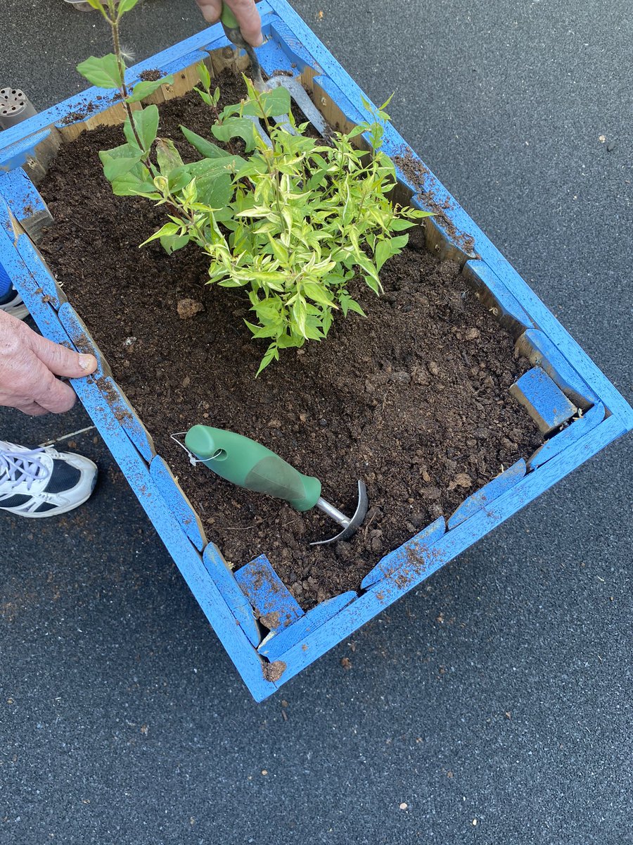 AmberWardNotts's tweet photo. The amber ward patients have been enjoying this glorious day and have been busy on the garden filling in our new flowers beds. #nottshc #nhs #amberward #millbrook #gardening https://t.co/SR7QxJYQ3G