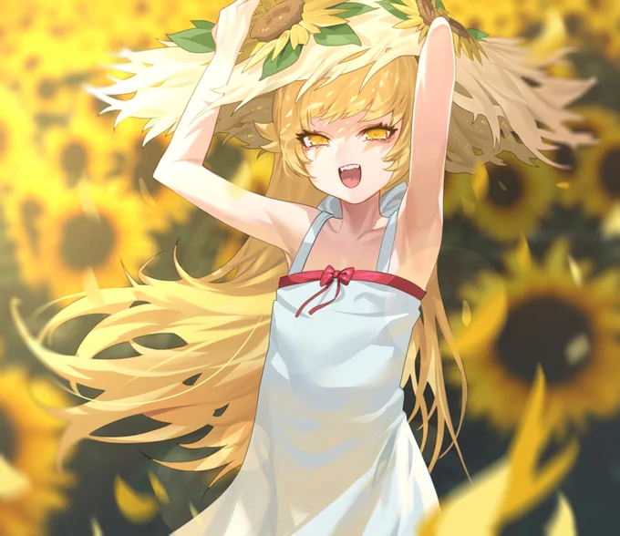 忍野忍- 