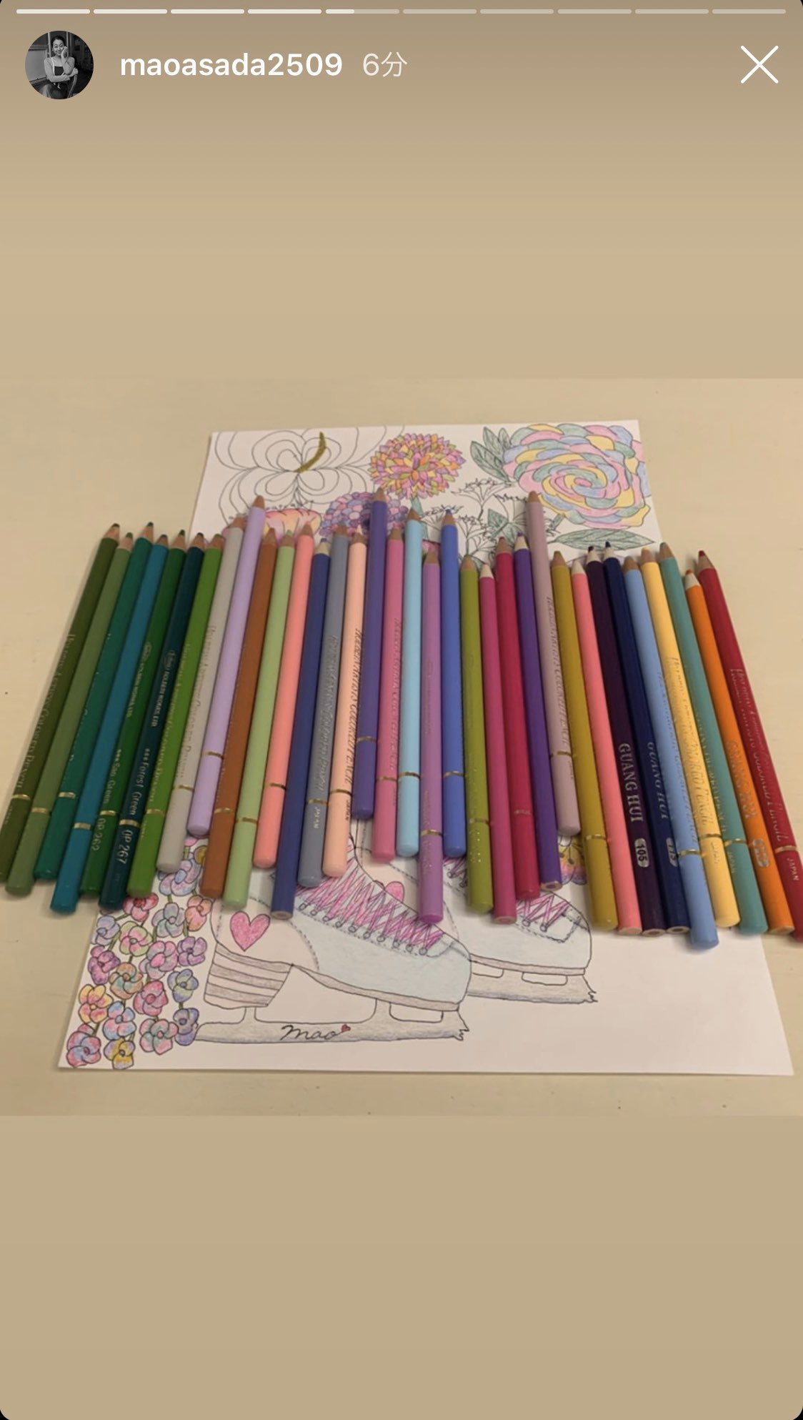 T S Meg 塗り絵アーティスト 朗報 浅田真央ちゃんの色鉛筆もホルベイン ちょっと嬉しくて 笑 T Co Elciydrgbo Twitter