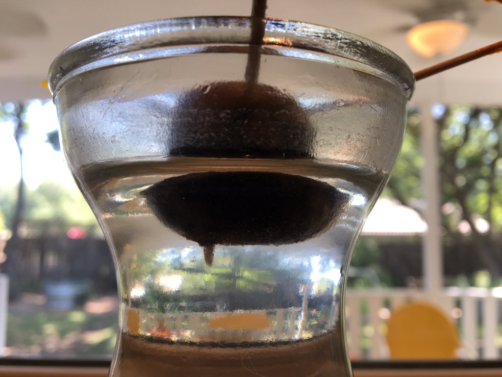 keatingkellie1's tweet photo. It took about 4 weeks for the avocado pit to germinate! So far there is just a root emerging. These pictures were taken over 3 days #SharingThePlanet https://t.co/QlJJitjpKb
