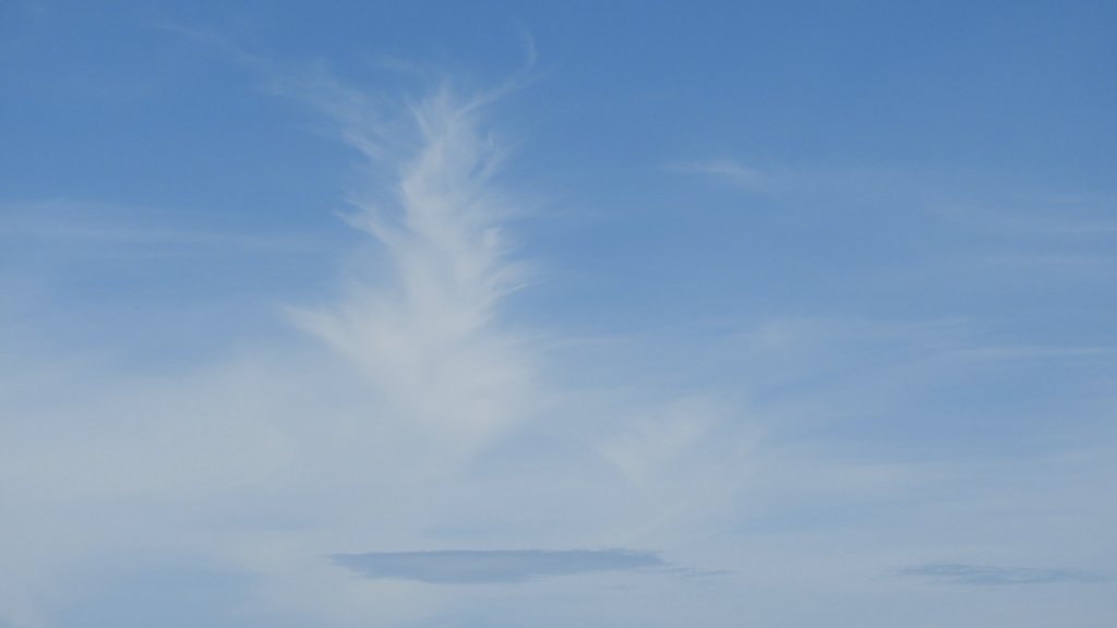 AnniePR681's tweet photo. Nubes hoy desde Arecibo.
A esta hora 10:22 am 86° en la costa. @adamonzon @DeborahTiempo @rcortestv2 @PRClimate @EarthandClouds @CloudAppSoc @StormHour #feathercloud #nubes #Arecibo ☁️ https://t.co/sIDOUwO4W2