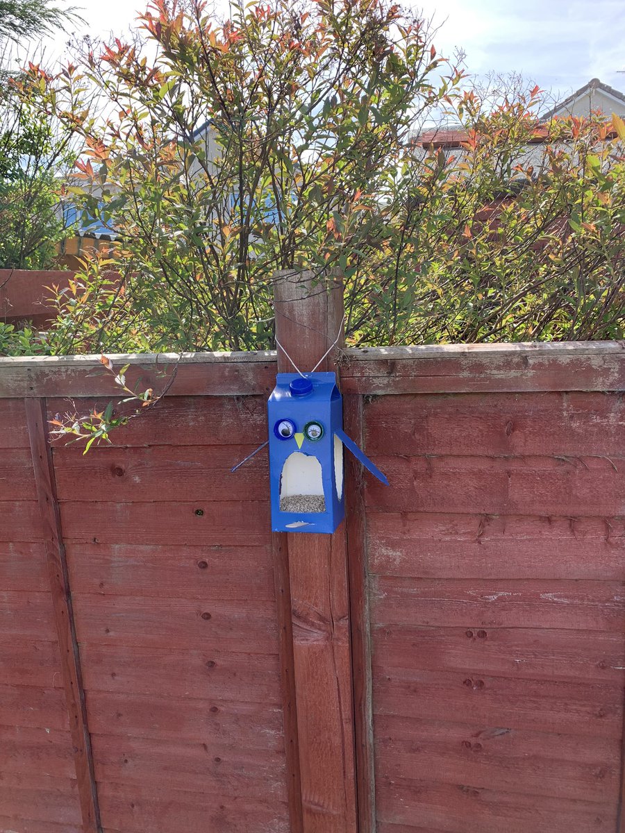 YvonneLPearson's tweet photo. Brodie is super proud of the bird feeder he made for his school topic! We’ve named him winston 🐦 @KinrossPrimaryS https://t.co/IZ7qS2IO6D
