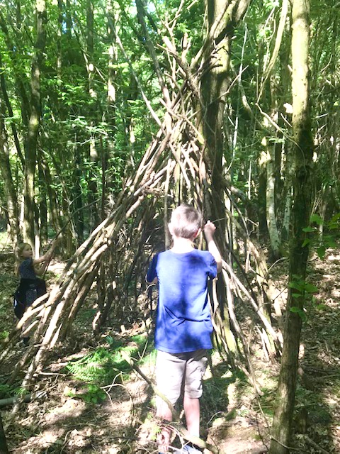 HandcrossPark's tweet photo. Today at School...@BearGrylls eat your heart out, Team Whale have made an awesome #lockdown den in the woods as part of #TheBigWrite! #TalesofHXP #HXPHappiness https://t.co/01SMbnnXVG