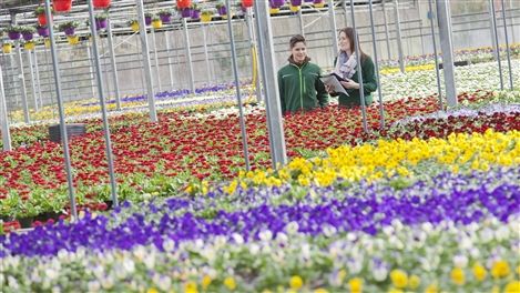 Du möchtest beruflich gerne in der Natur arbeiten oder dich für den Umweltschutz einsetzen 🌿? Je nach Berufsfeld hast du unterschiedliche Möglichkeiten diesen Wunsch zu verwirklichen. Wir stellen dir einige davon vor. buff.ly/2zYY2LW