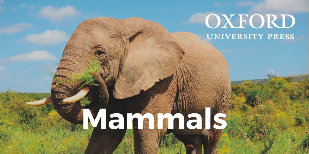 go_pangea's tweet photo. Do your students love learning about animals?! 🐪🐅🐆🐳 Then join the newest topic from PenPal Schools where PenPals learn about and discuss the mammals found in communities around the world! Sign-up @ https://t.co/T1rOlfJwFy https://t.co/zLHup42xOR