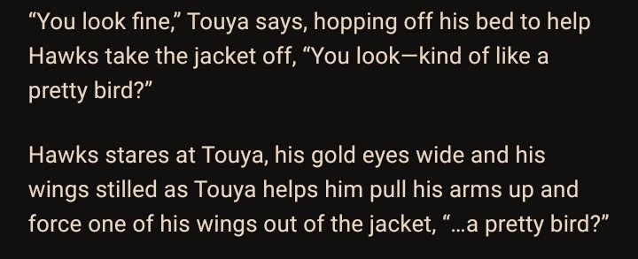 OMG, Touya you broke Hawks. Ψ(≧ω≦)Ψ