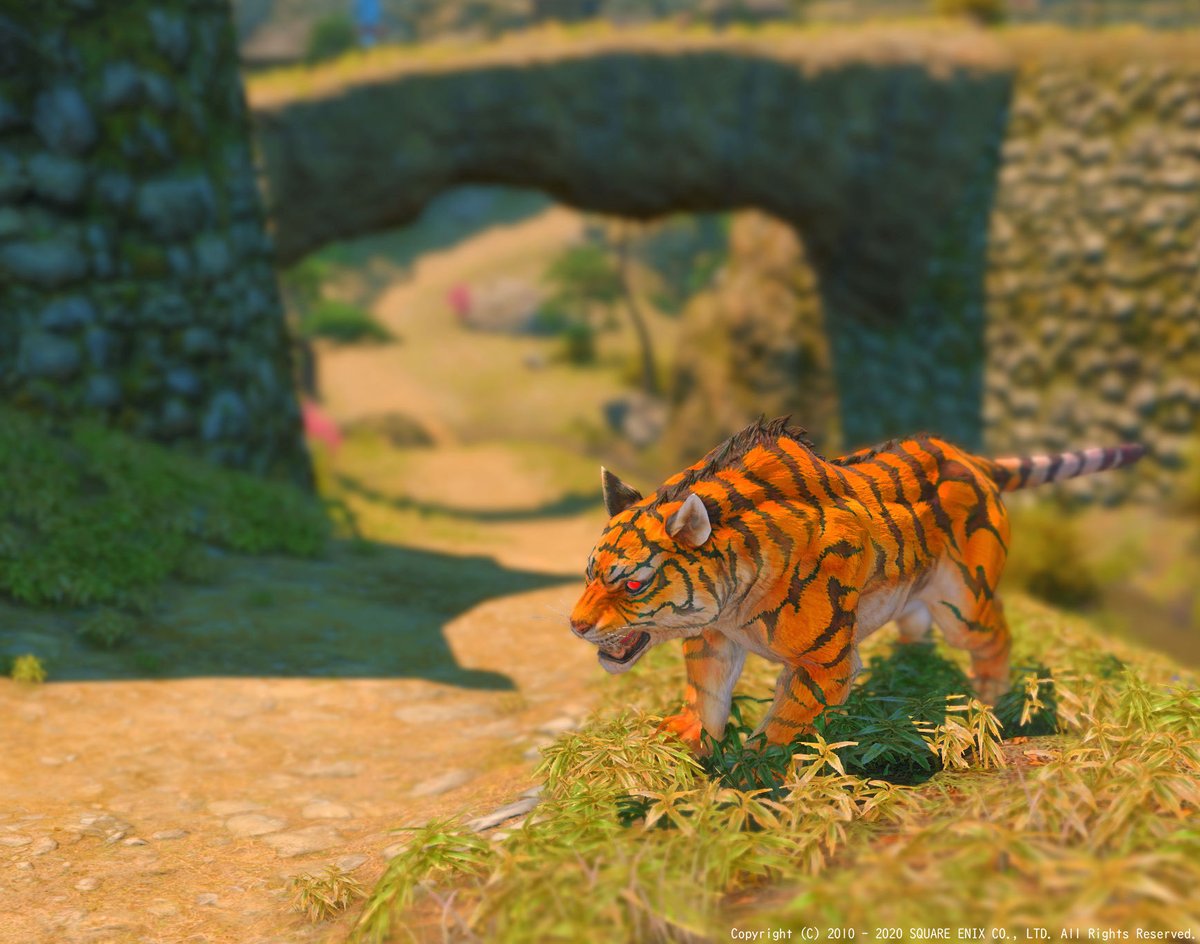 澤田圭 ｷｬﾗｸﾀｰﾃﾞｻﾞｲﾅｰ あつ森でポストを使った斜めからの視点での撮影方法を覚えたけど 段差だらけでバエスポットがなかったから 集めてる はりこのとら をパシャリ 竹と虎 の組み合わせってかっこいいよね